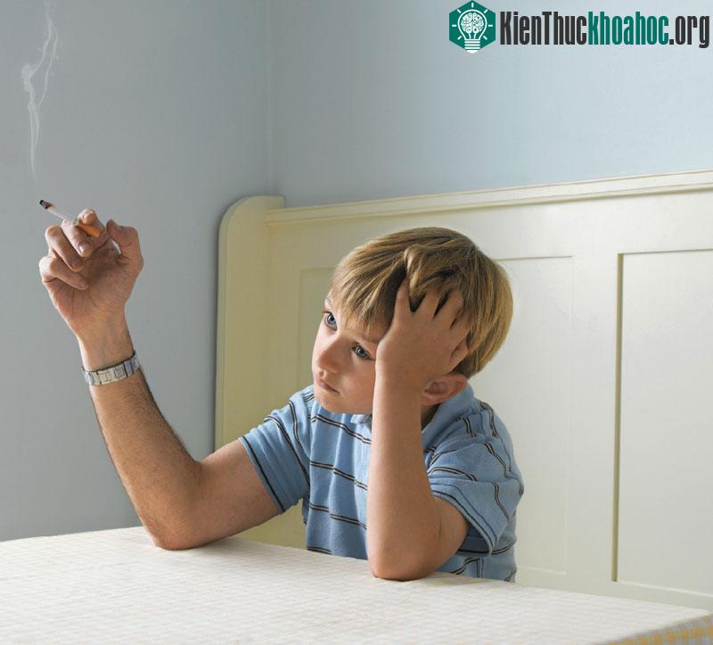 Con người vẫn suy nghĩ và hành động như trẻ con trước khi qua tuổi 24