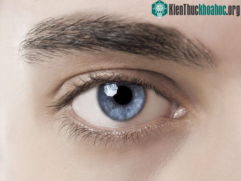 Phụ nữ nhìn thế giới hoàn toàn khác đàn ông ảnh 0