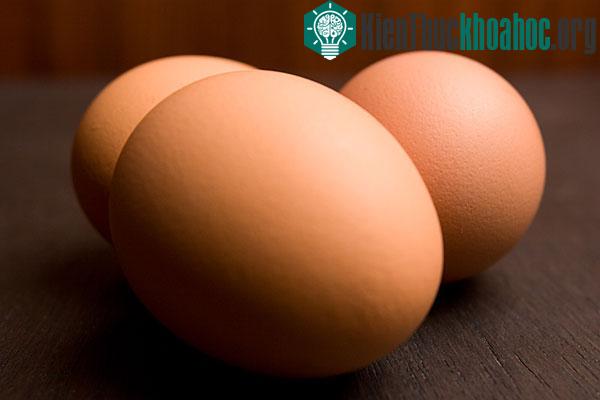 Hình dáng của quả trứng là sự kết hợp bất đối xứng giữa hình bầu dục và hình nón.