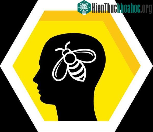 Điểm tương đồng giữa hoạt động của não người và ong