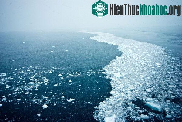 Những tảng băng trôi dọc theo một dòng hải lưu gần Nam Cực. (Ảnh: National Geographic)