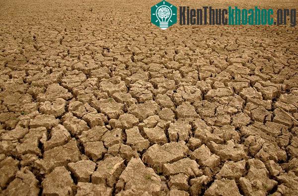 Nạn hạn hán sẽ lan rộng, nguồn nước khan hiếm nghiêm trọng