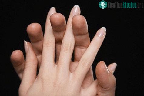 Các hocmon giới tính ảnh hưởng tới độ dài của các ngón tay.