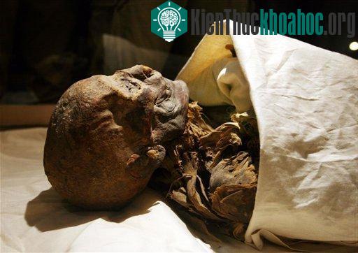 Xác ướp của Nữ hoàng Hatshepsut tại Bảo tàng Ai Cập ở Cairo.