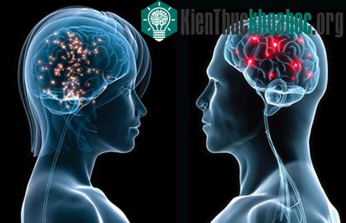 Các nhà khoa học cuối cùng đã lập bản đồ hoàn chỉnh và chính xác các vùng nhận kích thích tình dục trên não ở nữ giới. (Ảnh: brainworldmagazine)