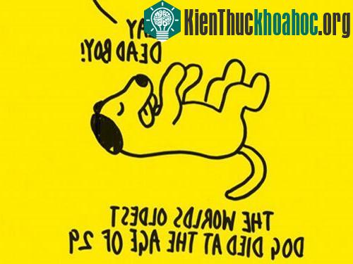 Bật mí 22 điều lý thú ít người biết