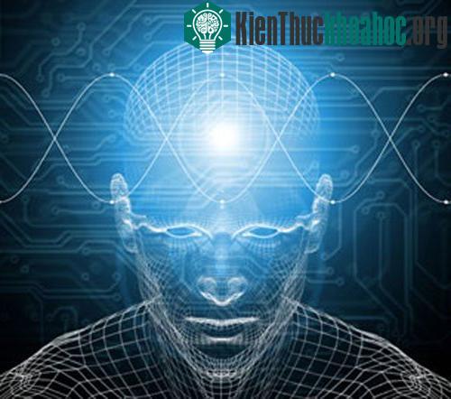 Ký ức có thể bị xóa ảnh 0