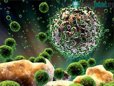 Virus HIV