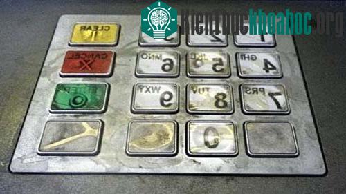 Bàn phím máy ATM chứa nhiều vi khuẩn như E.Coli và Coliform.