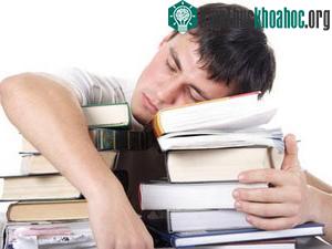 Con người vẫn có thể học tập trong khi đang ngủ ảnh 0