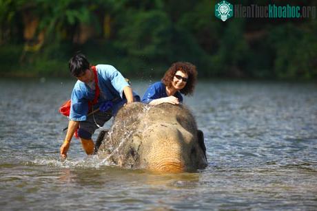 Vật chất không tạo nên hạnh phúc lâu dài ảnh 0
