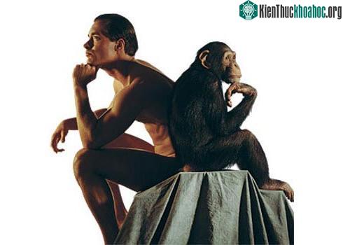 Loài người biết nói nhờ đột biến gene ảnh 0