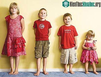 Thứ bậc trong gia đình quan trọng như thế nào? ảnh 0
