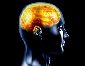 Não người ngày càng nhỏ ảnh 0