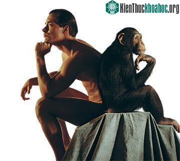 10 điều đặc biệt ở loài người ảnh 0