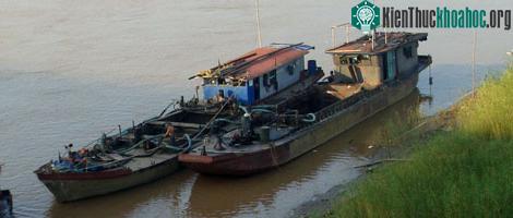 Kho báu khổng lồ ở "tam giác quỷ" bí hiểm giữa sông Hồng ảnh 0