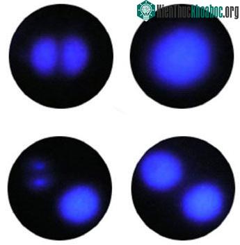 Hình ảnh đầu tiên trong nguyên tử Carbon ảnh 0
