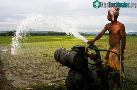 Chế độ ăn thay đổi tăng gánh nặng nhu cầu nước ngọt tại châu Á ảnh 0