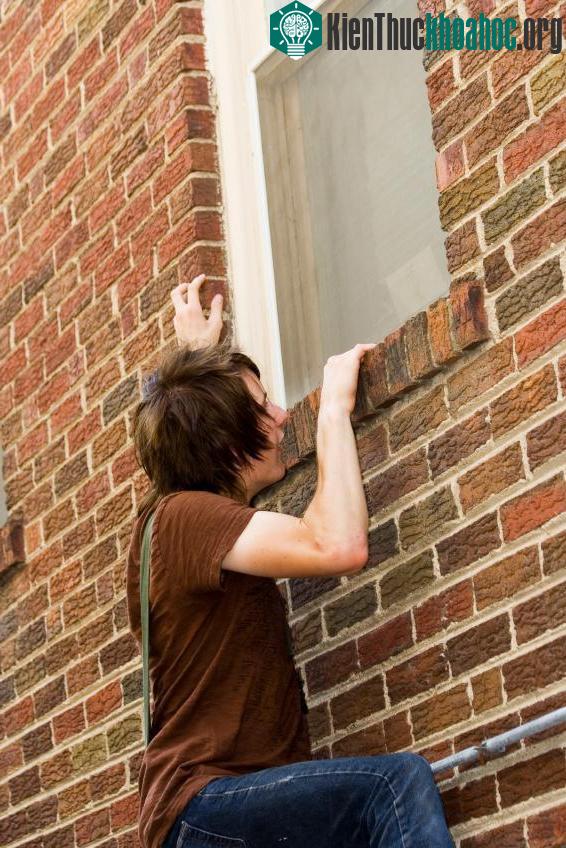 Hành vi phạm pháp “lây nhiễm” ở trẻ vị thành niên ảnh 0