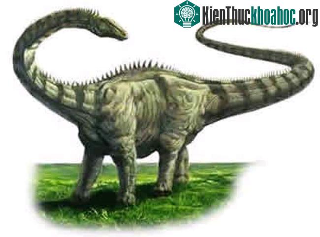 Làm thế nào khủng long to lớn như vậy? ảnh 0