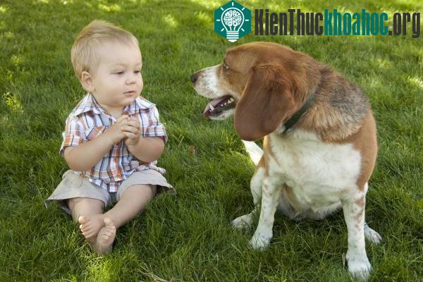 Trẻ em hiểu được tâm lý chó qua tiếng chó sủa ảnh 0