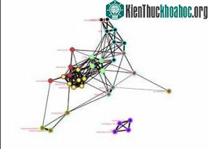 Tổ chức não thay đổi khi trẻ em thành người lớn ảnh 0