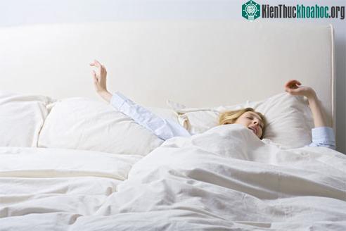 Nằm mơ giữa ban ngày có lợi cho não! ảnh 0