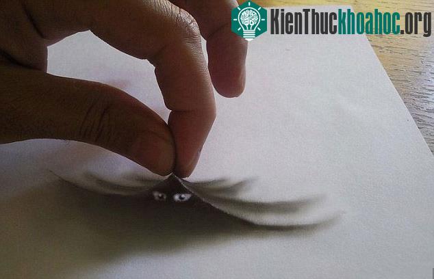 Tranh 3D đáng kinh ngạc