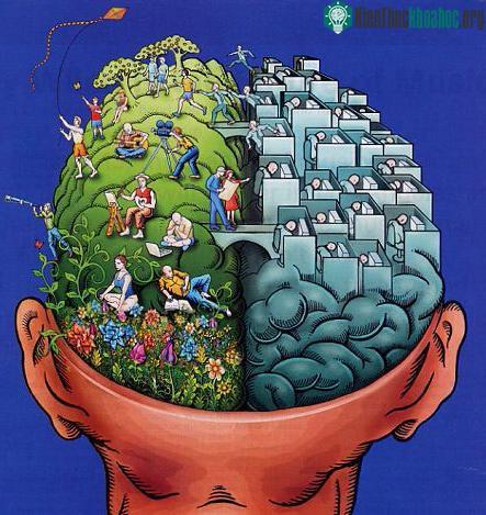 Có sự khác biệt trong trí thông minh của những người ở vùng khác nhau?