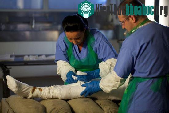 Người đầu tiên ướp xác như vua Ai Cập ảnh 1