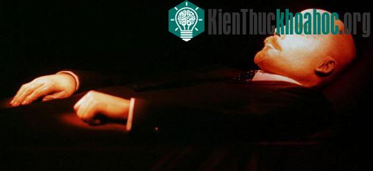 Trở lại sự thật về cái chết của Lenin ảnh 1