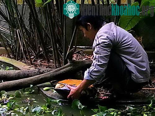 “Nhà rùa” vườn Cúc Phương ảnh 1