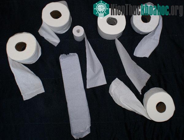 Câu chuyện về lịch sử hình thành giấy vệ sinh