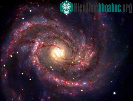 Những phát minh khoa học lý thú năm 2010 ảnh 2