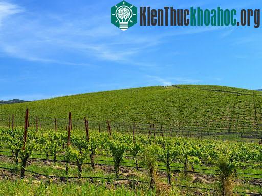 Cũng khung cảnh này, nhưng được chụp vào tháng 5/2010