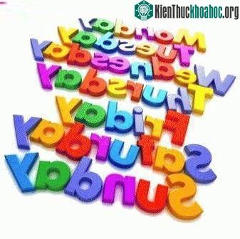 Tuần