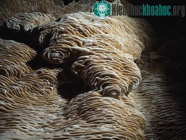Những sự thật có thể bạn chưa biết về các đại dương