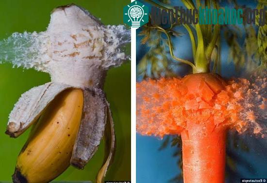 Cận cảnh sức công phá của viên đạn ảnh 4