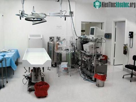 Những công nghệ chôn cất kỳ quặc nhất ảnh 5