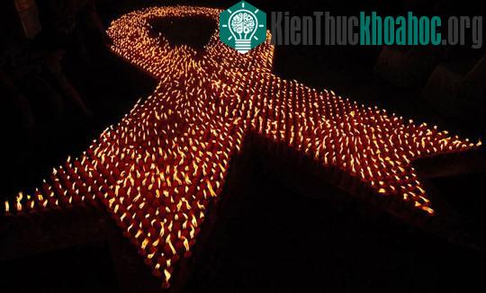 Những phát minh khoa học lý thú năm 2010 ảnh 5