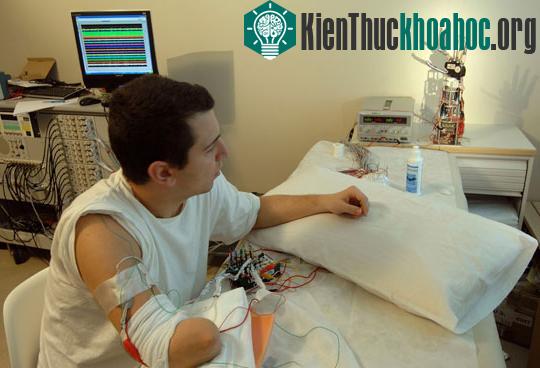 Top 10 phát hiện khoa học quan trọng nhất thập kỷ ảnh 5