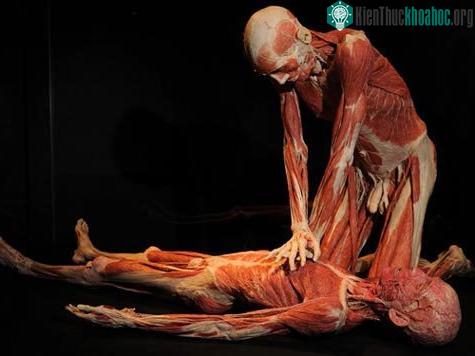 Những công nghệ chôn cất kỳ quặc nhất ảnh 6