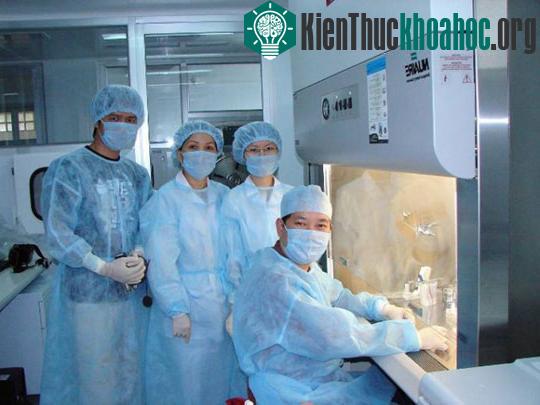 Top 10 phát hiện khoa học quan trọng nhất thập kỷ ảnh 6