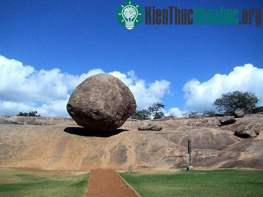 Krishna's butterball
