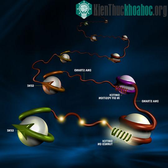 Top 10 phát hiện khoa học quan trọng nhất thập kỷ ảnh 8