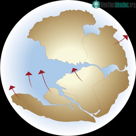 Siêu lục địa Pangaea được hình thành như thế nào? ảnh 0