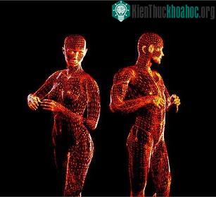 Người có cơ thể cân đối thì hấp dẫn hơn trong mắt của người khác giới ảnh 0