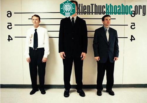 Vì sao chúng ta 'lớn nhanh như thổi'? ảnh 0