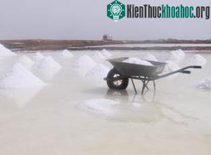 Vì sao ít người tách nước ngọt từ nước biển? ảnh 0
