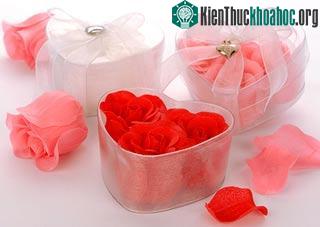 (Ảnh: Ricefavors.com)